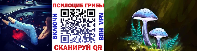 Купить  Орехово-Зуево  Галлюциногенные грибы Cubensis 